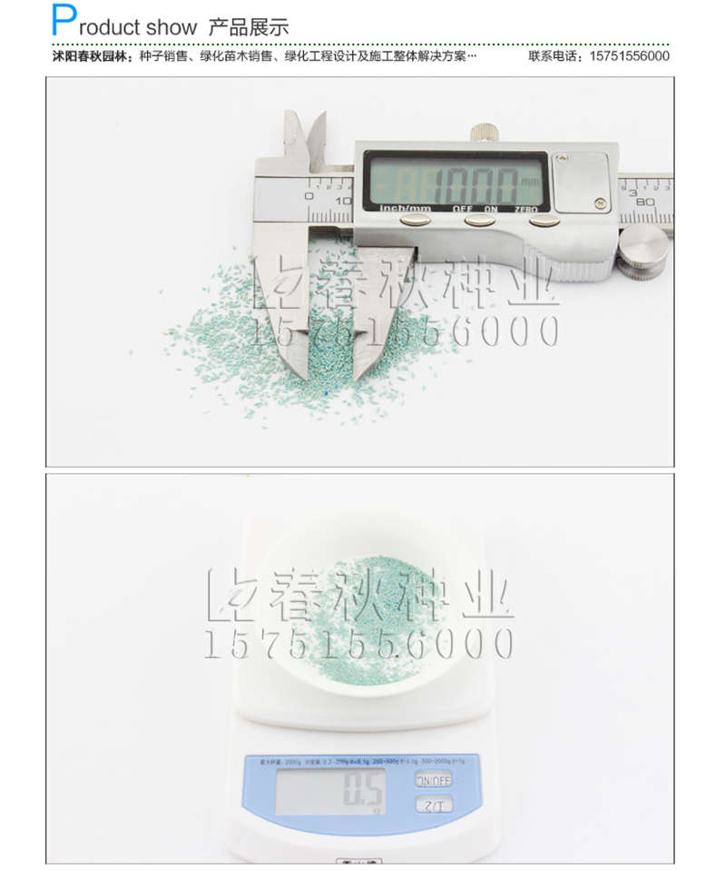 剪股穎(包衣)種子銷售參考價(jià)格