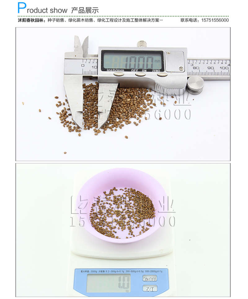 獼猴桃種子銷售參考價(jià)格