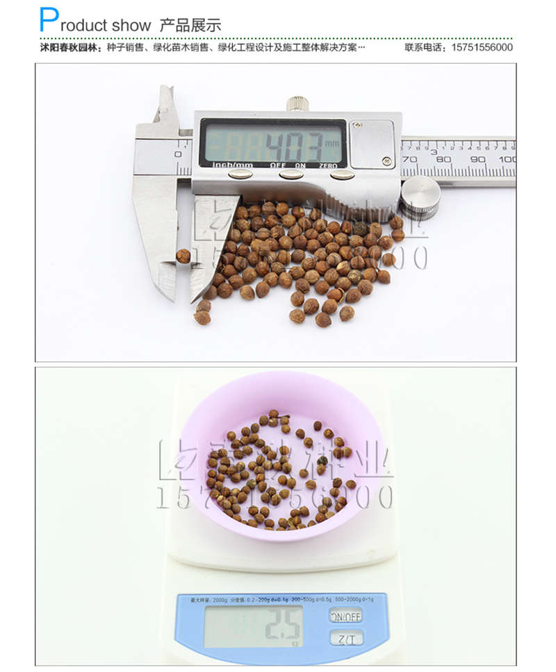 紅心桃種子銷售參考價(jià)格